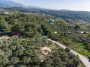 DJI_20251113104136_0372_D.jpg