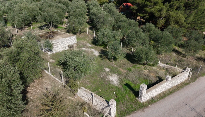 DJI_20251113104159_0375_D.jpg