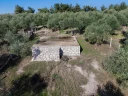 DJI_20251113104206_0376_D.jpg