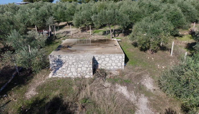 DJI_20251113104206_0376_D.jpg