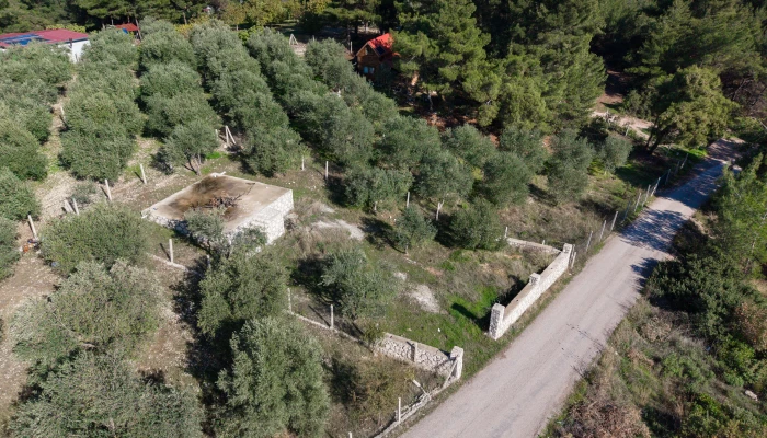 DJI_20251113104258_0382_D.jpg