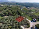 DJI_20251113104640_0394_D.jpg