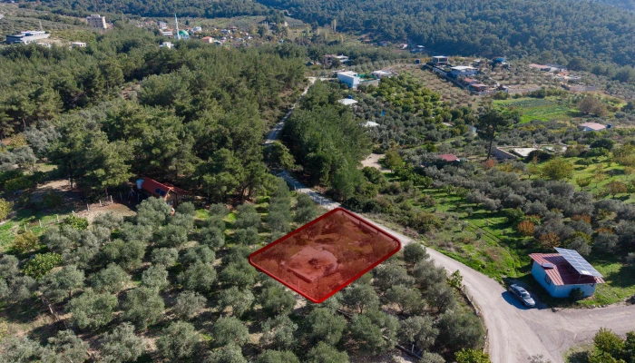 DJI_20251113104640_0394_D.jpg