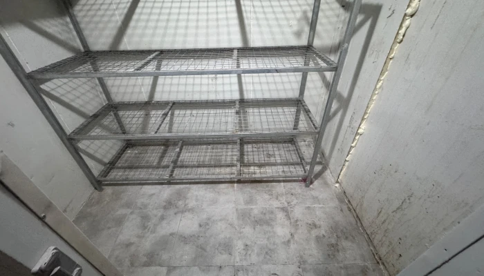 WhatsApp Image 2026-07-10 at 17.49.29 (8).jpg