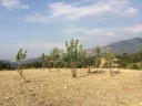 İlanlardan (2).jpg