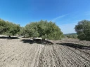 DJI_20251017165943_0042_D.jpg