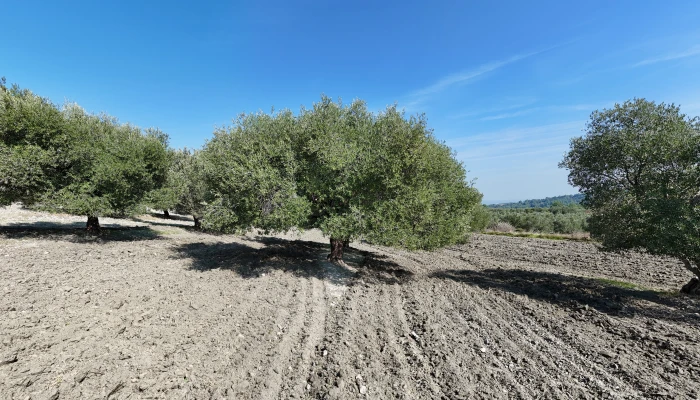 DJI_20251017165943_0042_D.jpg