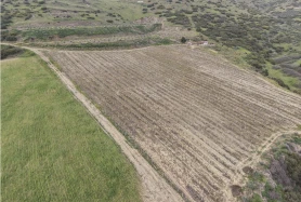MANİSA KULA KONURCA' DA 39 DÖNÜM ZEYTİN VE ÜZÜM BAĞI