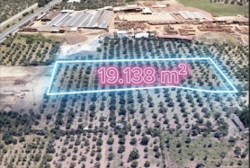 AYDIN GERMENCİKTE MERKEZE 1 KM MESAFEDE SATILIK İNCİR BAHÇESİ