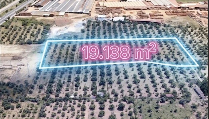Ekran Resmi 2026-06-15 23.37.43.png