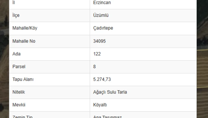 BAYRAM KALKAN.jpg