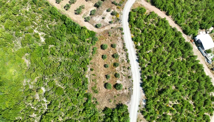 belenbai_299_100001.jpg
