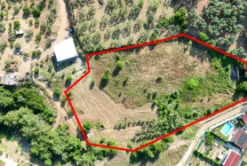İZMİR BUCA DOĞANCILARDA 7409 m² İÇİNDE EVİ OLAN MÜSTAKİL TARLA