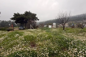 BORNOVA YAKAKÖY'DE DOĞAYLA İÇİÇE FIRSAT BİR ARAZİ