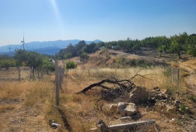 İzmir Kemalpaşa Damlacık'ta Satılık Arazi