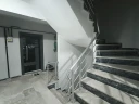 155482.jpg