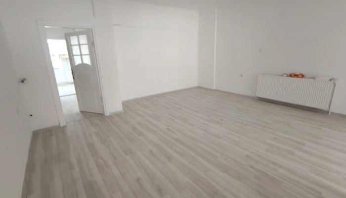 171154.jpg