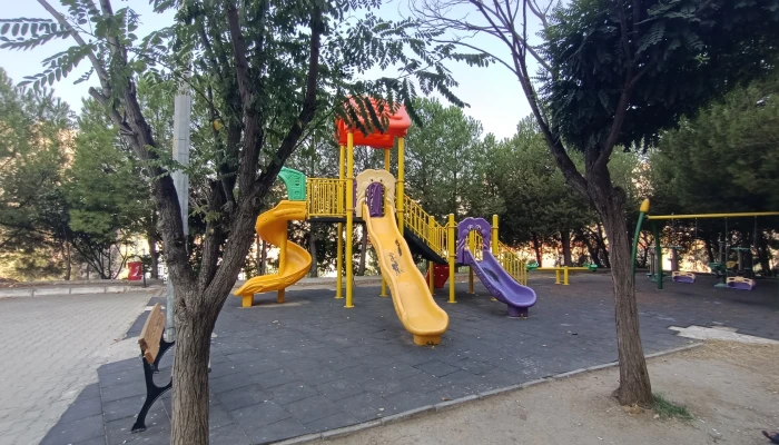 IMG20260812090132.jpg