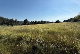 EKİNOX SEVGİ'DEN KEŞAN YERLİSU'DA SATILIK YOLU AÇIK 8672m2 TARLA