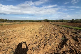 EKİNOX SEVGİ'DEN ÇELTİK'TE SATILIK 4051m2 MÜKEMMEL KONUMDA TARLA