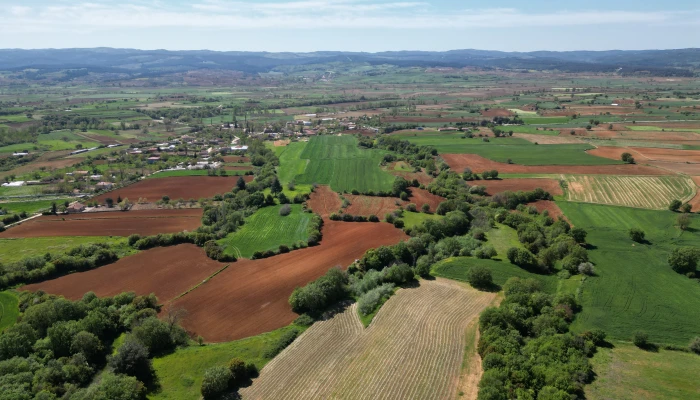 DJI_0760.jpg
