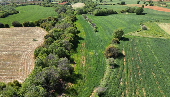 DJI_0743.jpg