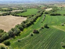 DJI_0744.jpg