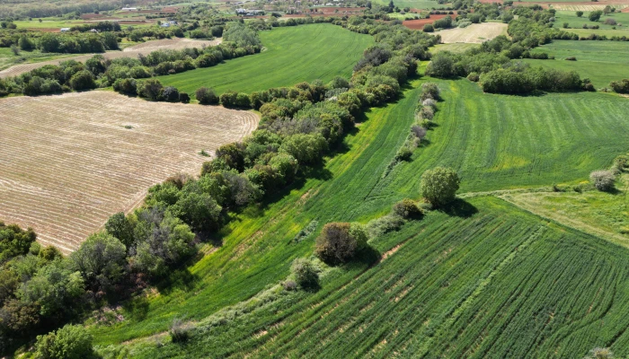 DJI_0744.jpg