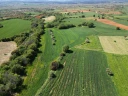 DJI_0745.jpg
