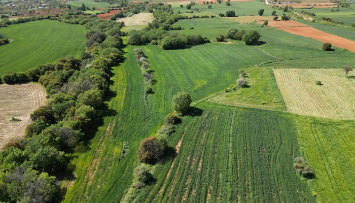DJI_0745.jpg