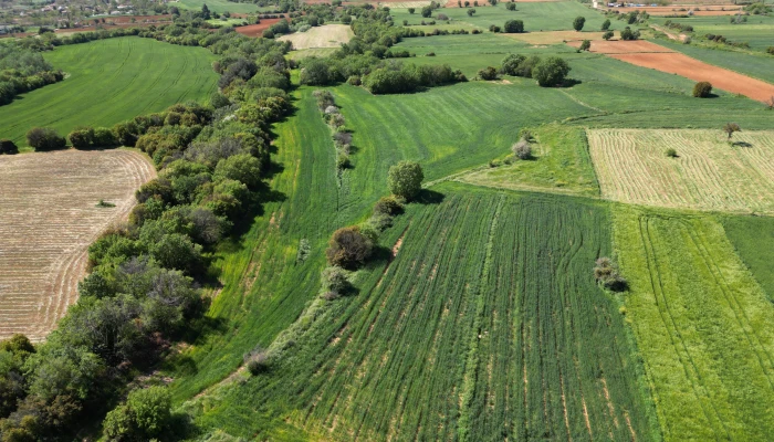 DJI_0746.jpg