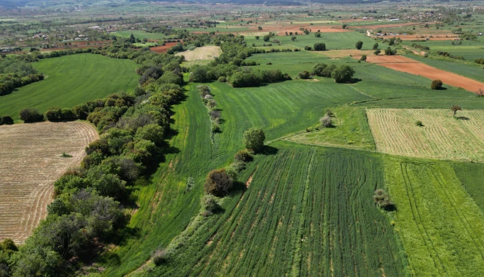 DJI_0747.jpg