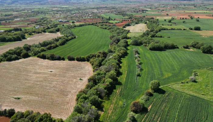 DJI_0748.jpg