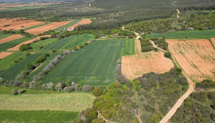 DJI_0749.jpg