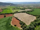 DJI_0750.jpg