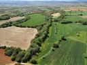 DJI_0751.jpg