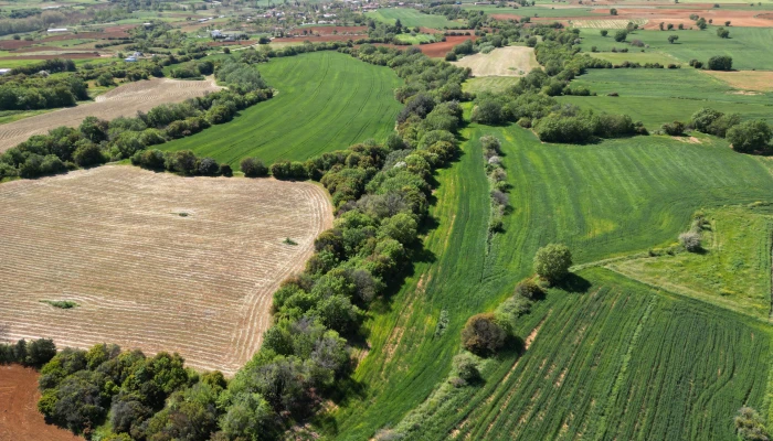 DJI_0751.jpg