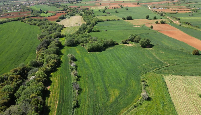 DJI_0752.jpg