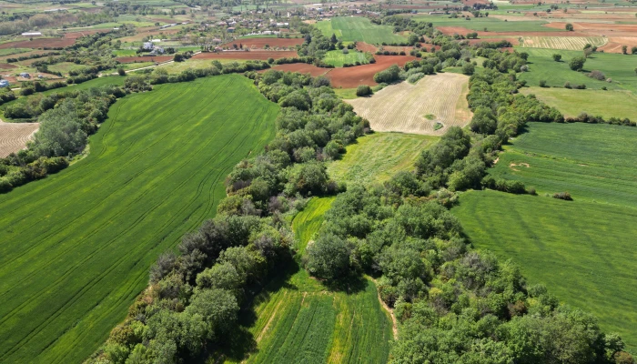 DJI_0753.jpg