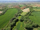 DJI_0753.jpg