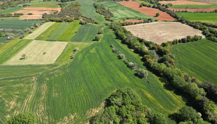 DJI_0754.jpg