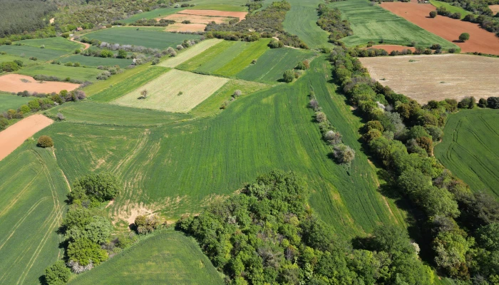 DJI_0755.jpg