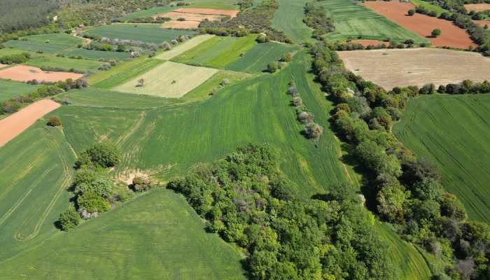 DJI_0756.jpg