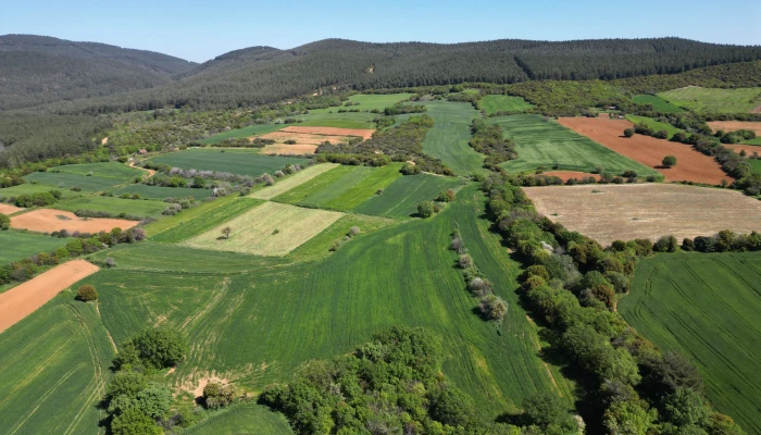 DJI_0757.jpg