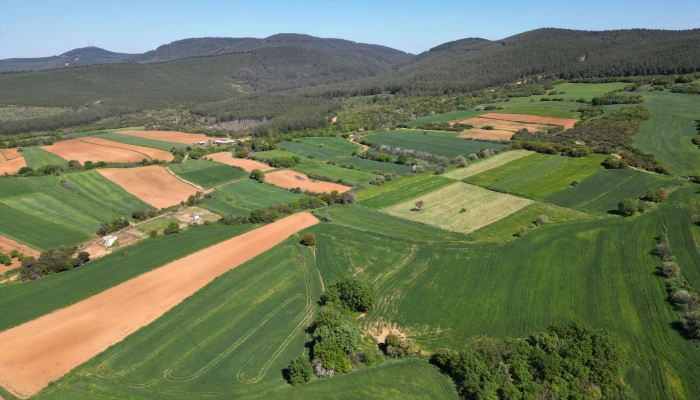 DJI_0758.jpg
