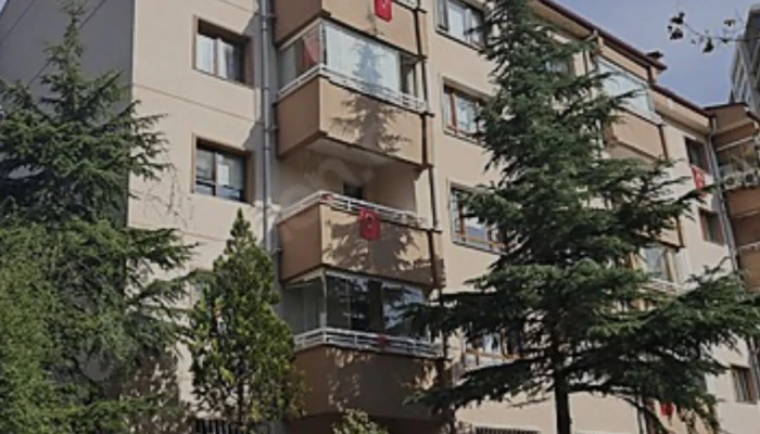 570C3251-4A38-49A3-9188-14EED4D294E5.jpg
