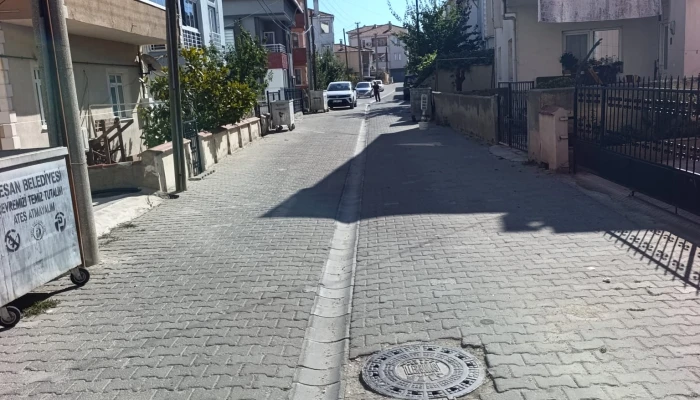  (15).jpg
