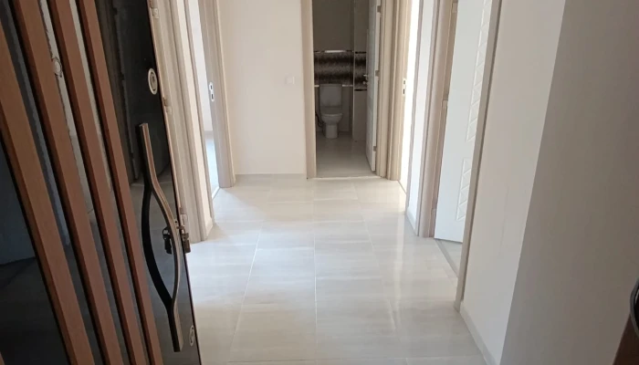  (26).jpg